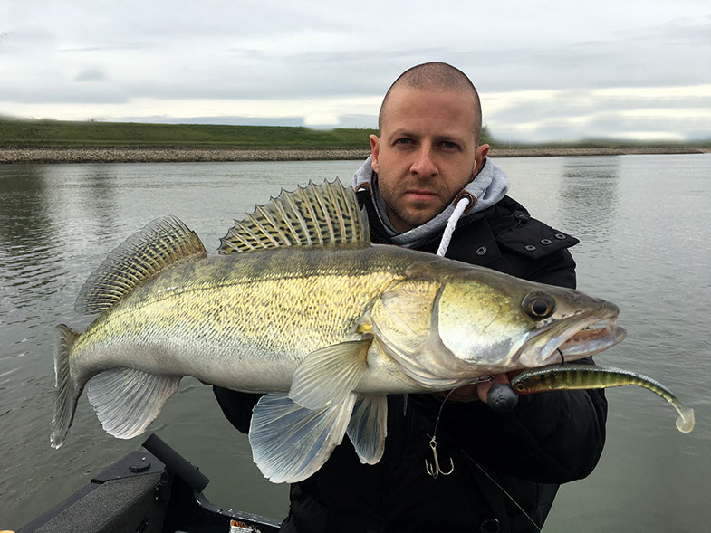 Fox Rage Tiddler fast