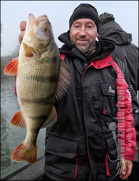 Barschguiding Holland