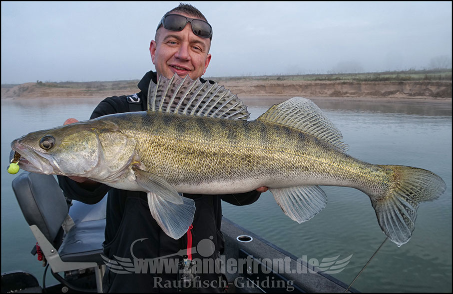 Zander Guiding Holland