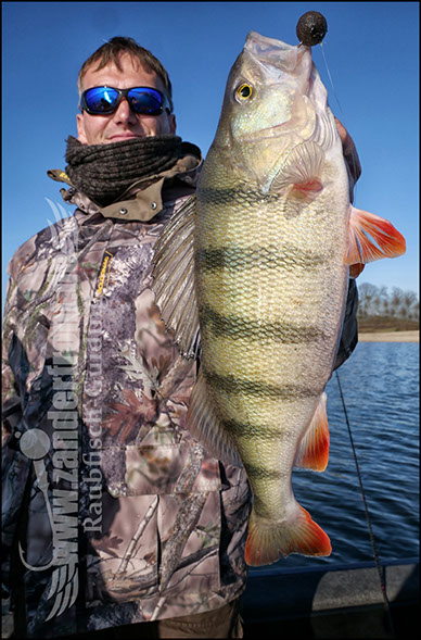 Seiko Pro Frequency Shad