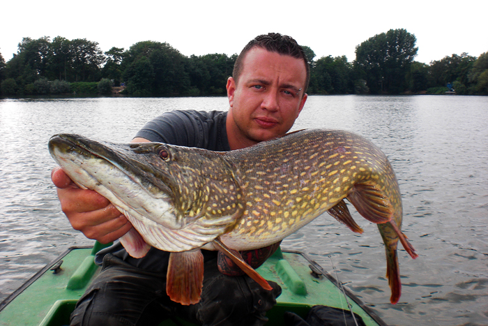 kapitale Hechte Jigköpfe, Stinger, Angsthaken, Gummifisch, No Action Shad