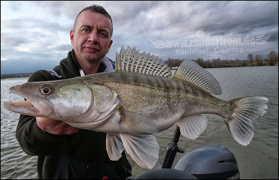 monster Hecht vertikal