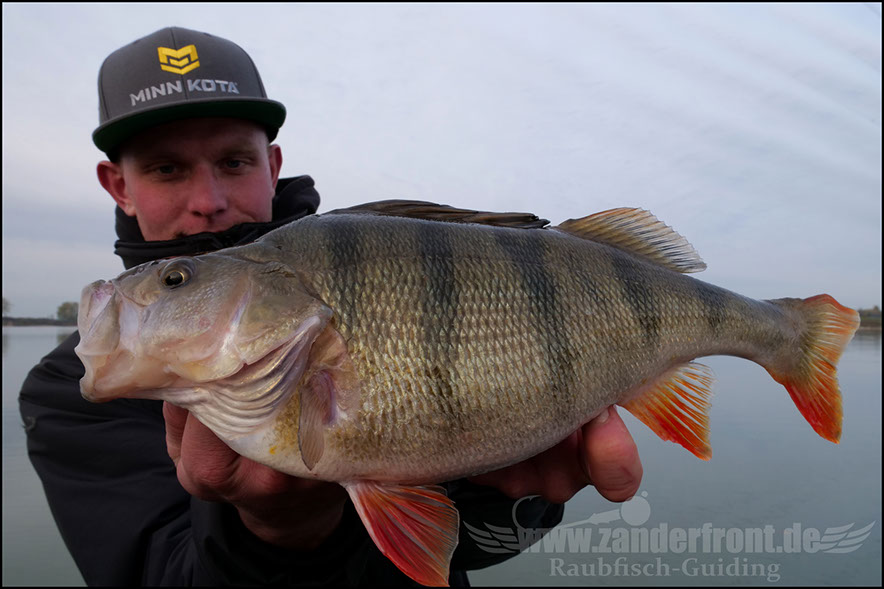 monster Hecht vertikal