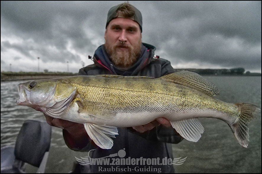 monster Hecht vertikal