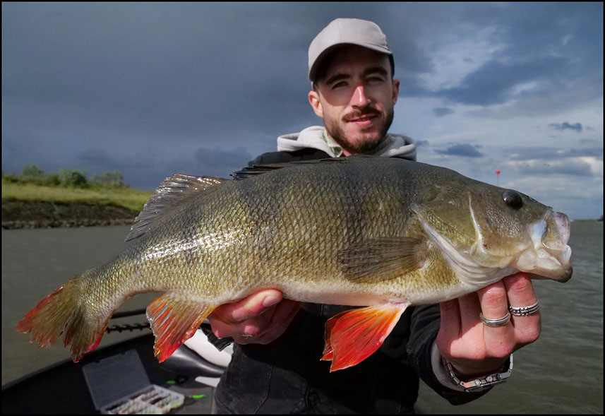 monster Hecht vertikal