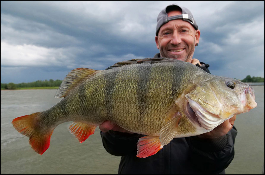 monster Hecht vertikal