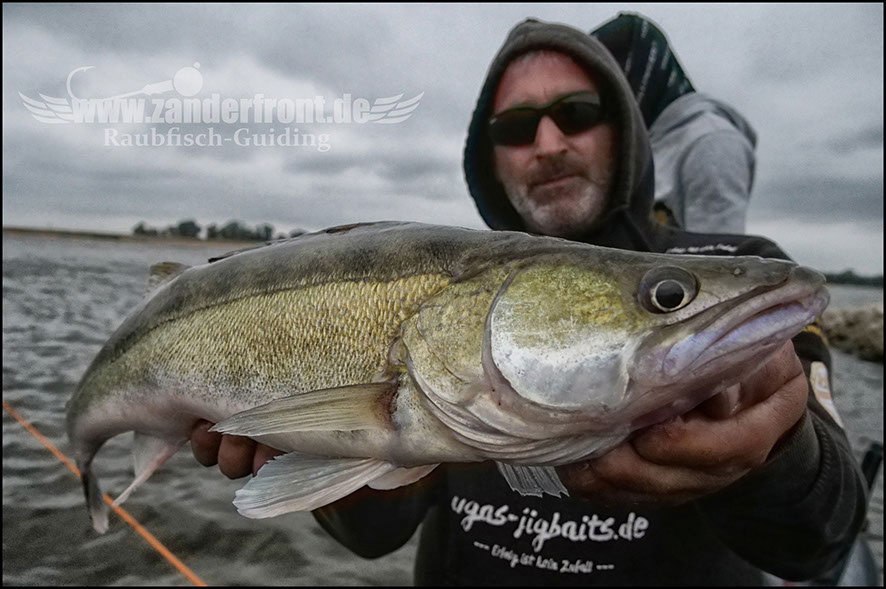 monster Hecht vertikal