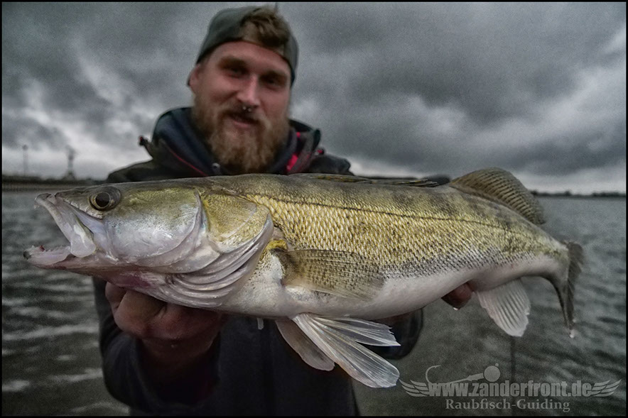 monster Hecht vertikal