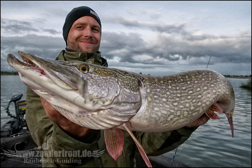 monster Hecht vertikal