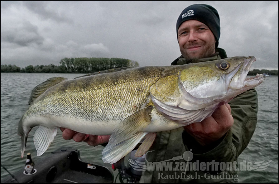 monster Hecht vertikal