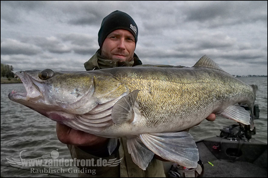 monster Hecht vertikal