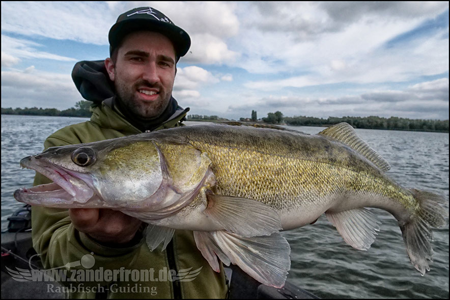 monster Hecht vertikal