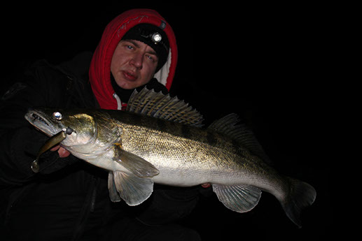 nachts am rhein mit dem Gummifisch auf zander