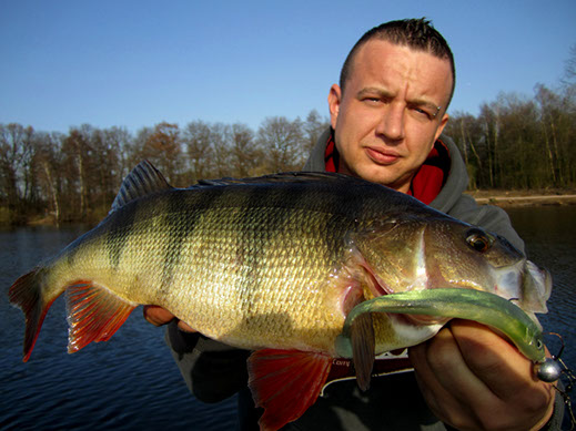 Barsche im Baggersee