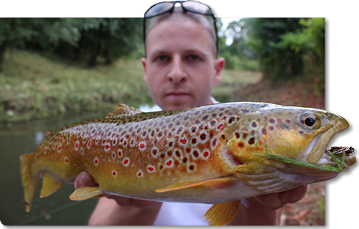 spinnfischen auf regenbogen und bachforellen