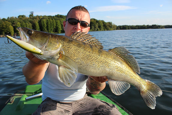 Raubfisch Guiding auf Zander