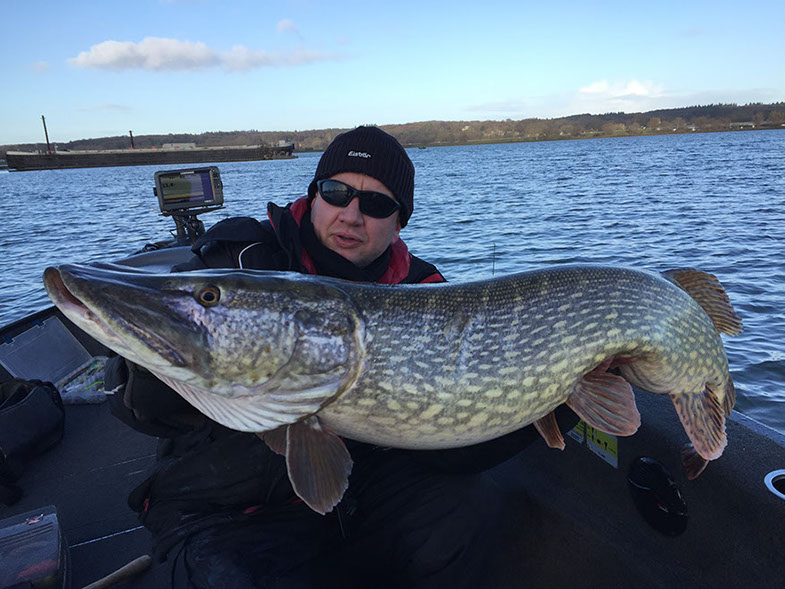 Daiwa tournament 8 braid evo