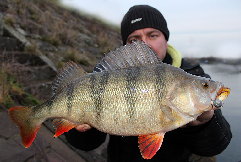 die faulenzer methode