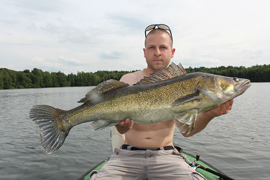 Zander im Baggersee