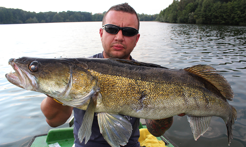 vertikal angeln auf zander