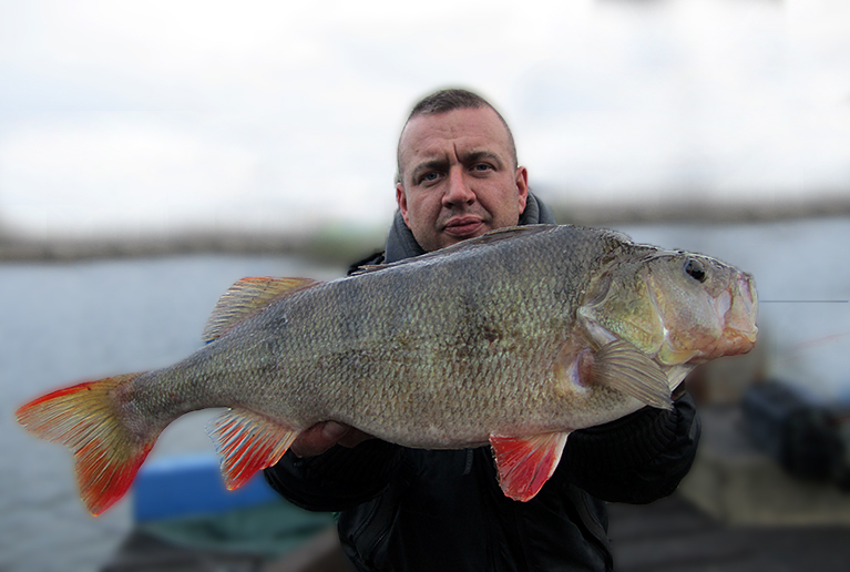 Hafen Barsch Duisburg