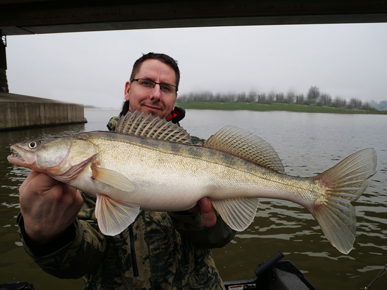 zander guiding holland
