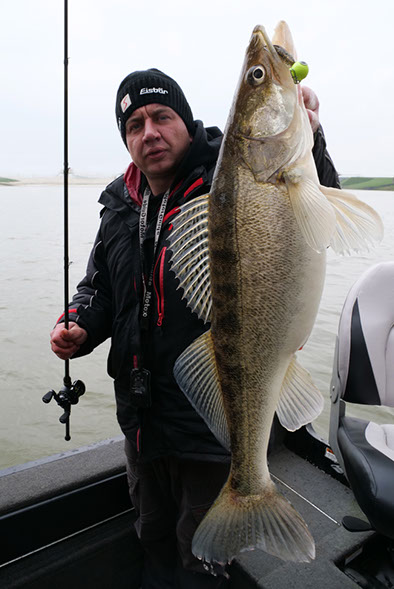 Keitech swing impact