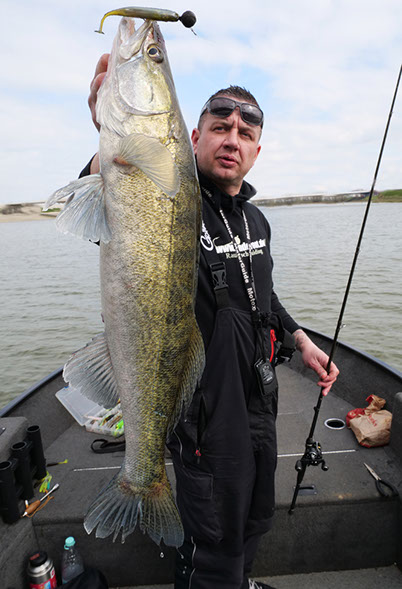 Fish Arrow Flash J Shad