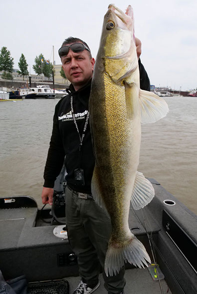 zander guiding holland