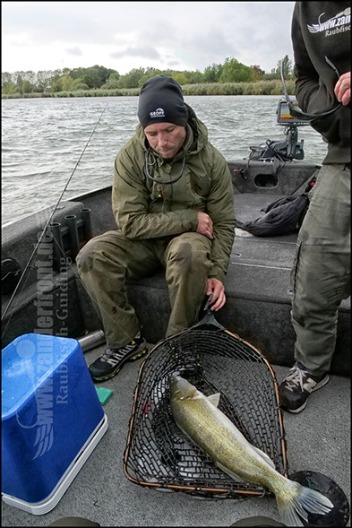 Daiwa tournament 8 braid evo