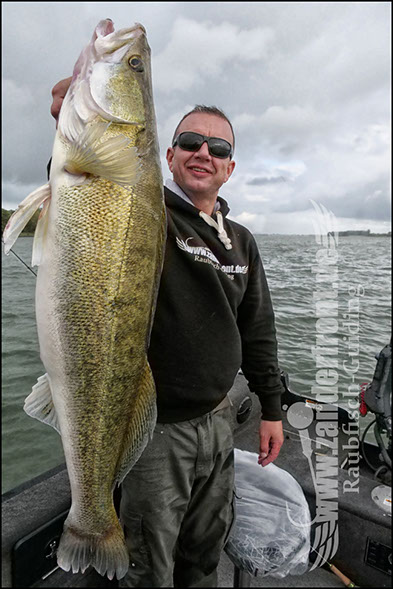 Daiwa tournament 8 braid evo