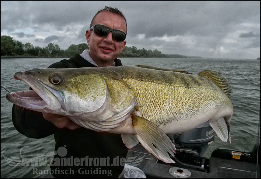 Daiwa tournament 8 braid evo