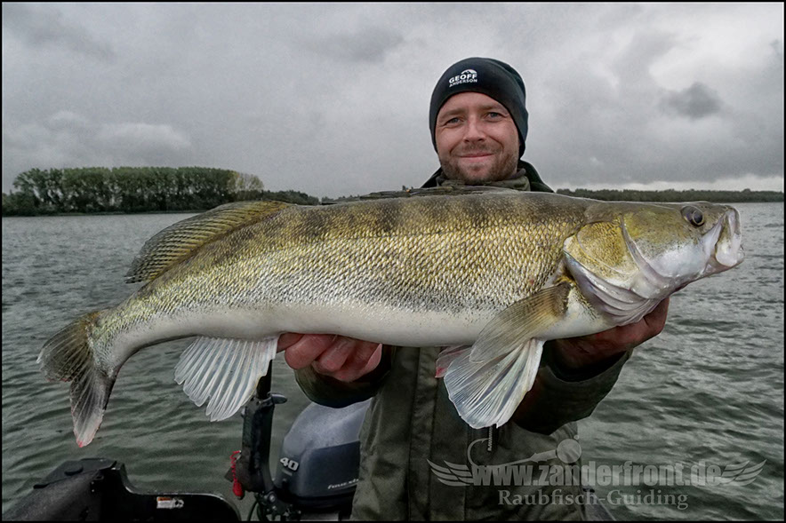 Daiwa tournament 8 braid evo