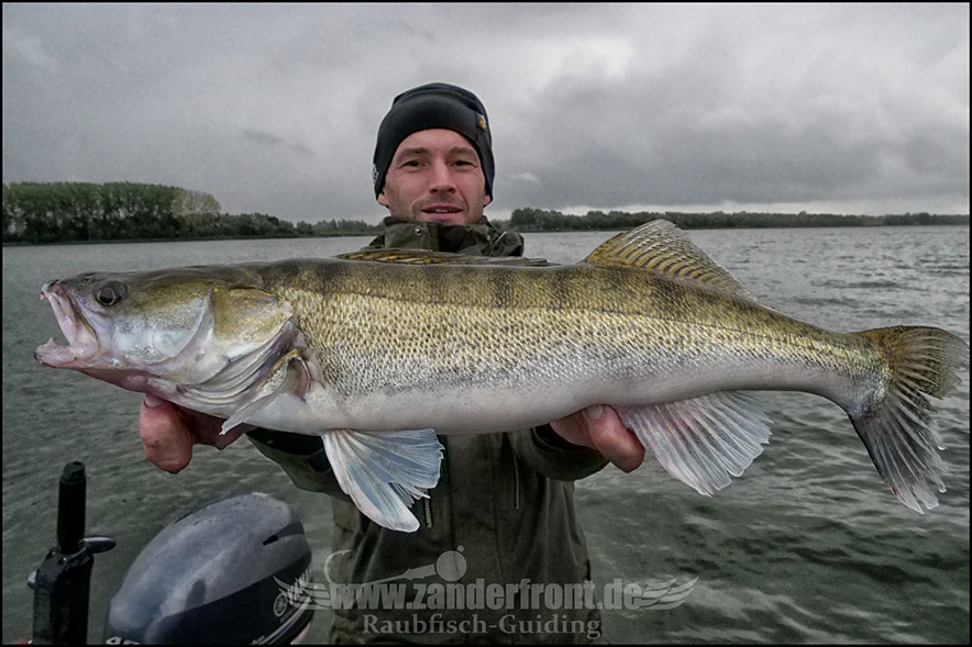 Daiwa tournament 8 braid evo