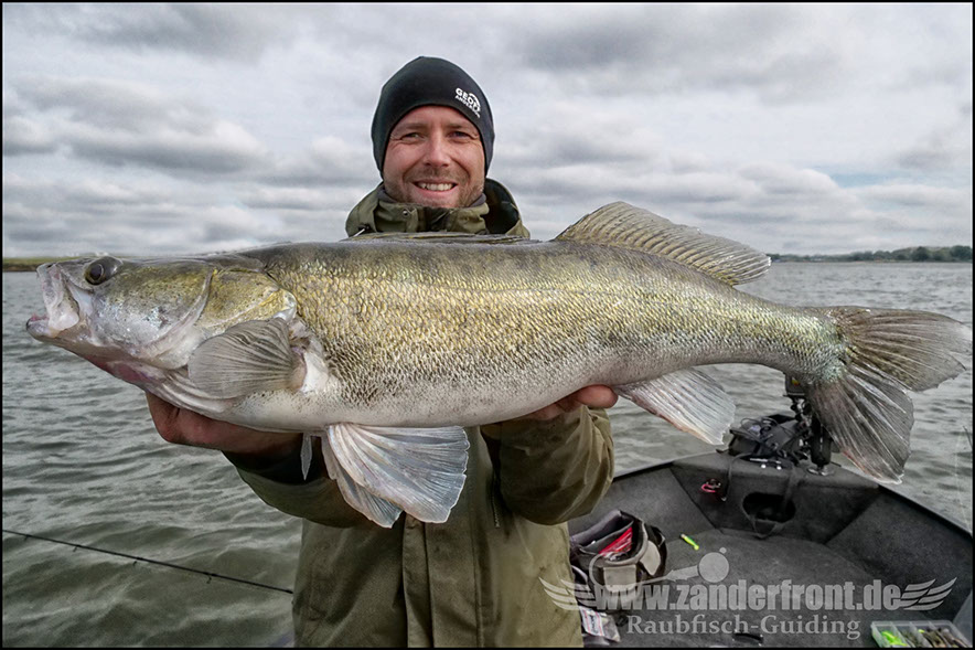 Daiwa tournament 8 braid evo