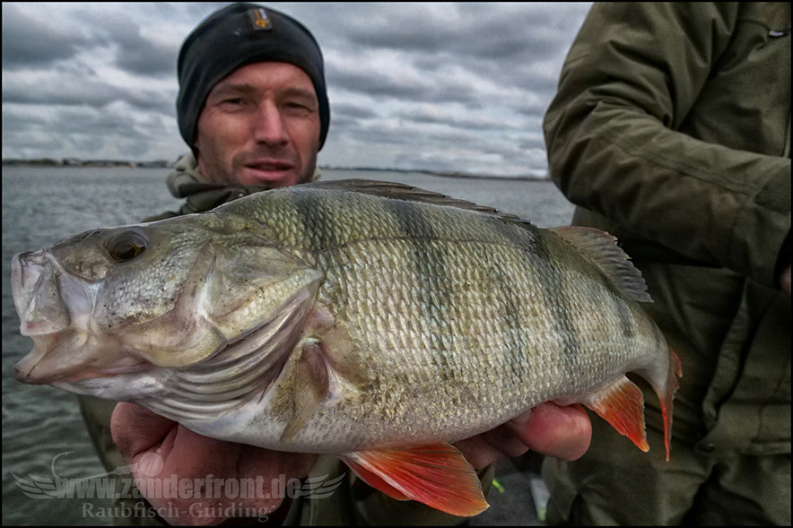 Daiwa tournament 8 braid evo