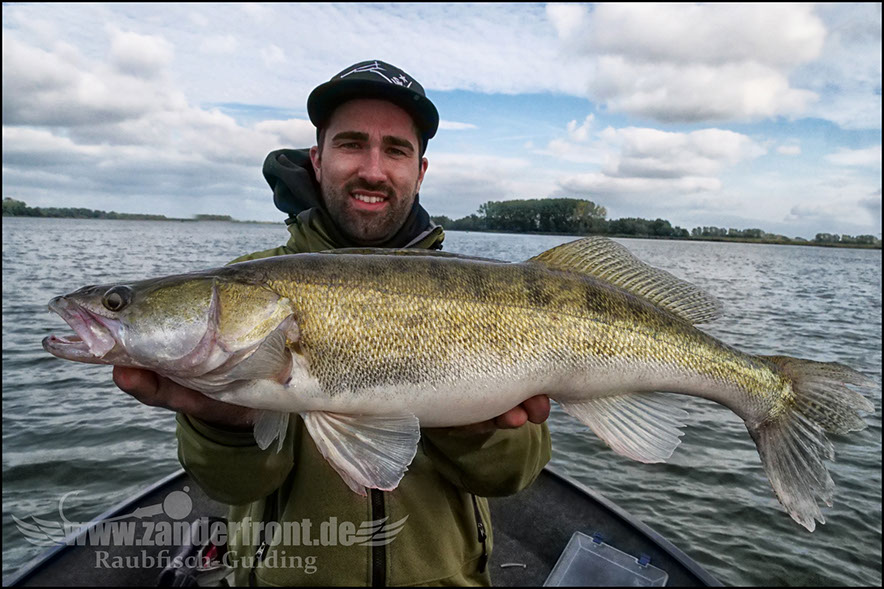 Daiwa tournament 8 braid evo