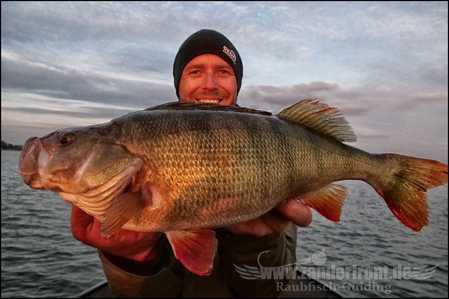 Daiwa tournament 8 braid evo