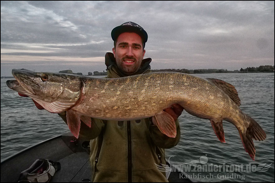 Daiwa tournament 8 braid evo