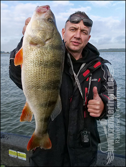 Daiwa tournament 8 braid evo