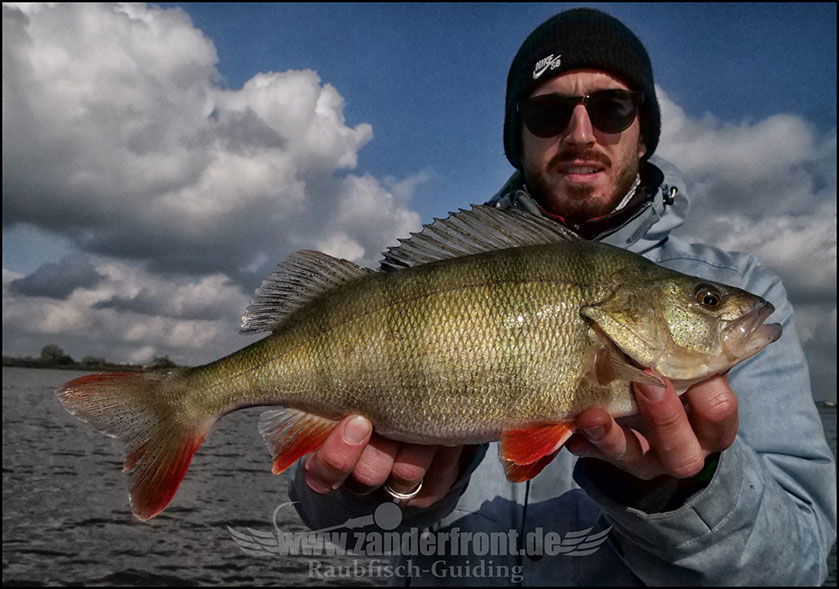 Daiwa tournament 8 braid evo