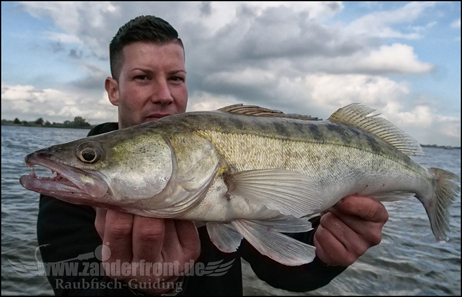 Daiwa tournament 8 braid evo