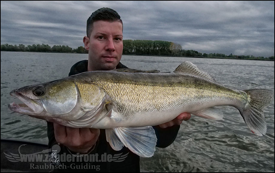 Daiwa tournament 8 braid evo