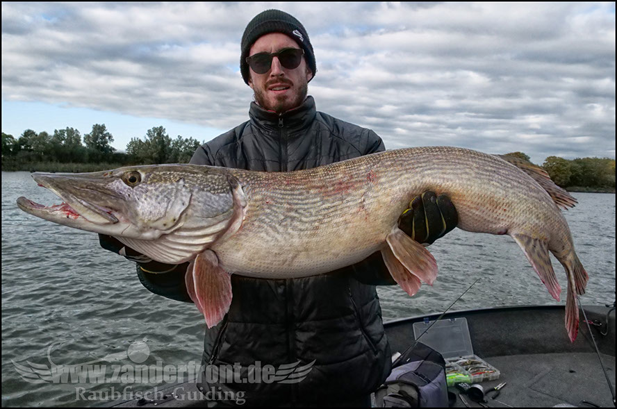 Daiwa tournament 8 braid evo