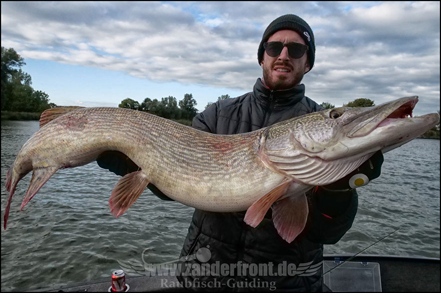 Daiwa tournament 8 braid evo