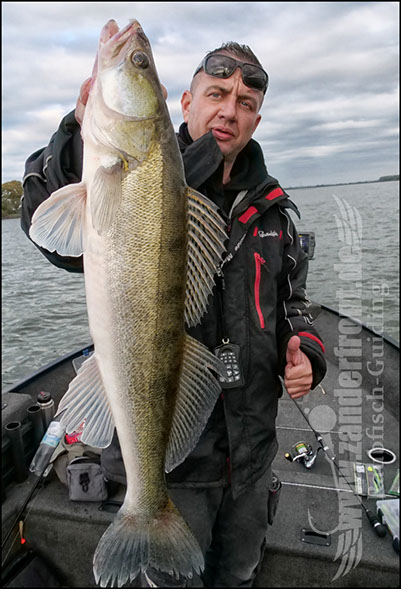 Daiwa tournament 8 braid evo