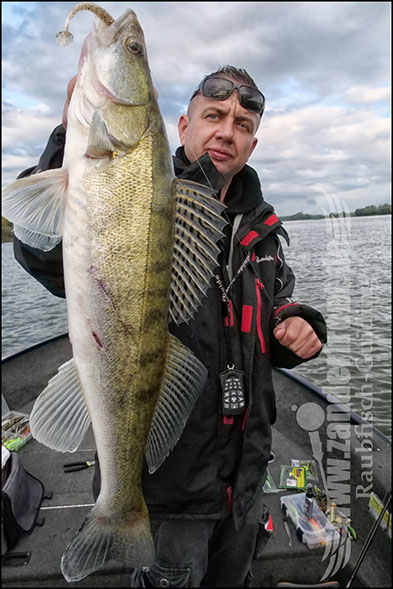 Daiwa tournament 8 braid evo