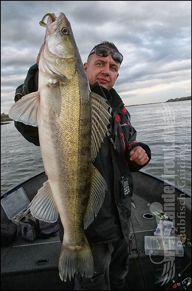 Daiwa tournament 8 braid evo