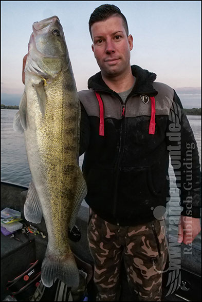 Daiwa tournament 8 braid evo