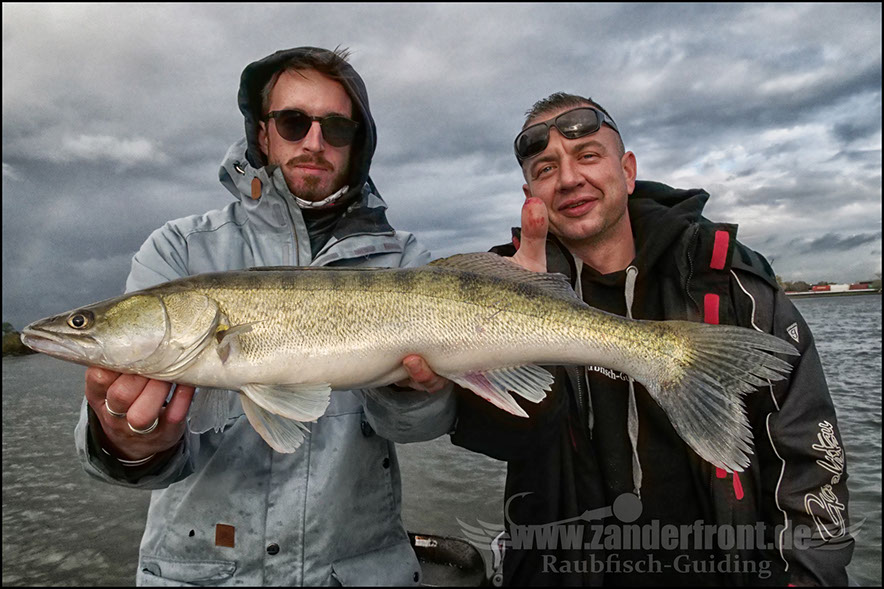 Daiwa tournament 8 braid evo